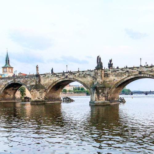 Photo #6891690