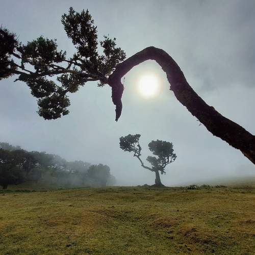 Photo #6891727