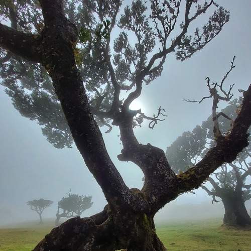 Photo #6891737