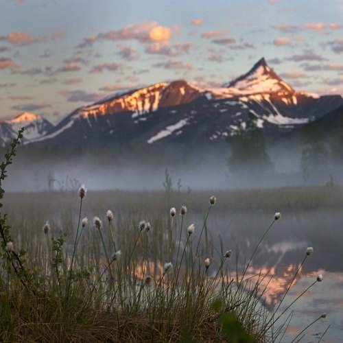 Photo #6891872