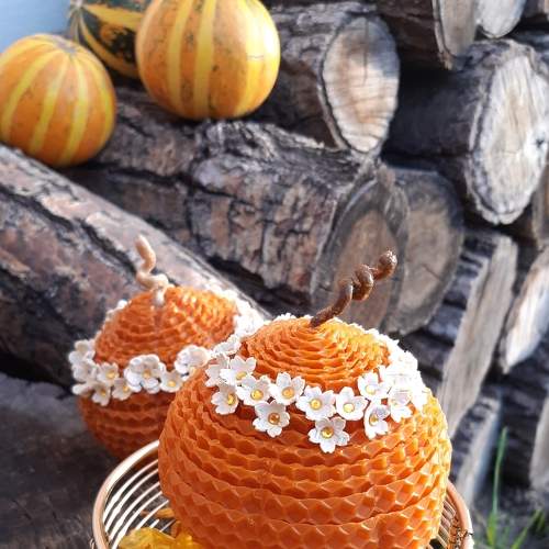 Photo #6892058