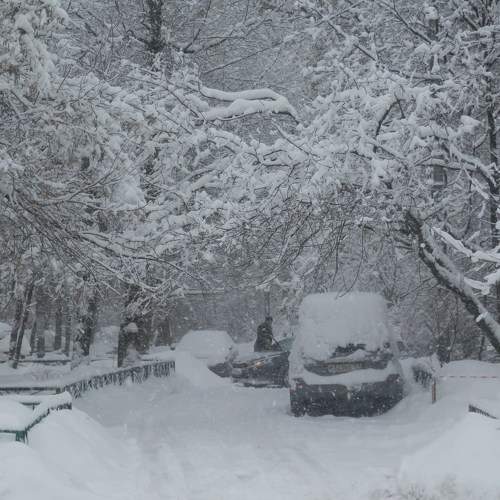 Photo #6892140