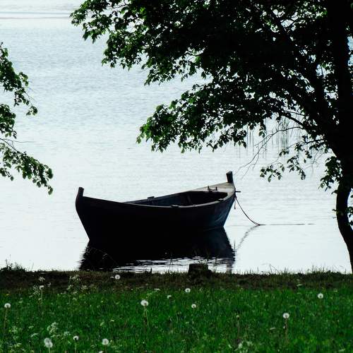 Photo #6892205