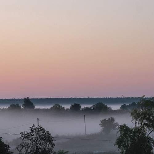Photo #6892211