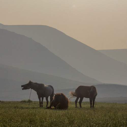 Photo #6892437