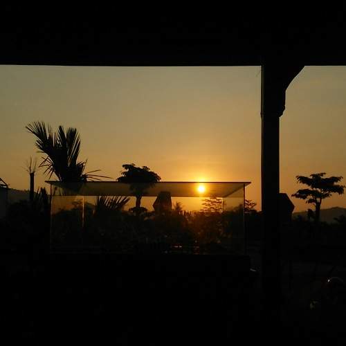 Sun go down in aquarium