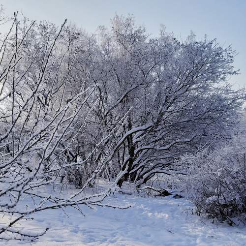 Photo #6892687