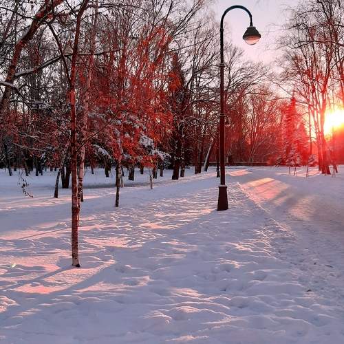Photo #6892688