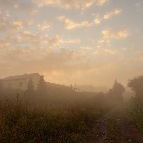 Photo #6892841