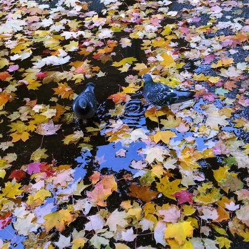 Photo #6892912