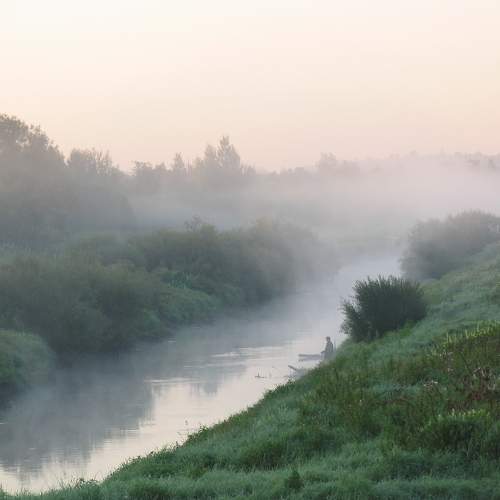 Photo #6893433