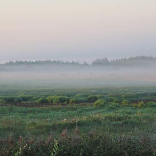 Photo #6893436