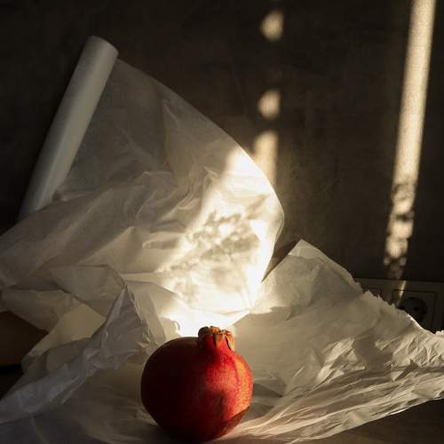 Photo #6893568