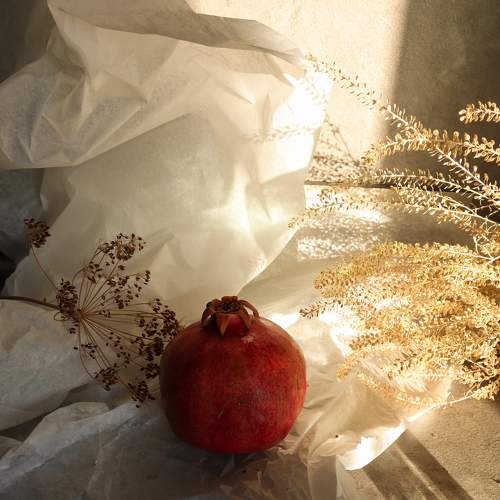 Photo #6893582