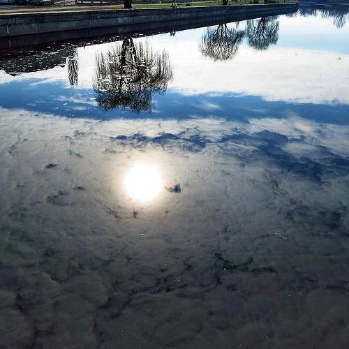 Photo #6894411