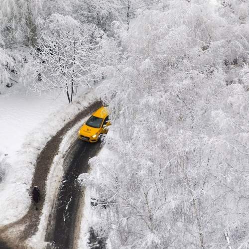 Photo #6894460