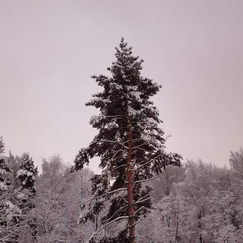 Photo #6894468