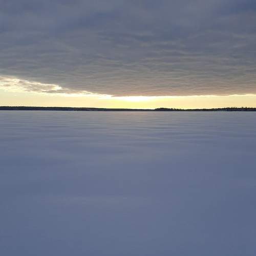 Photo #6894532