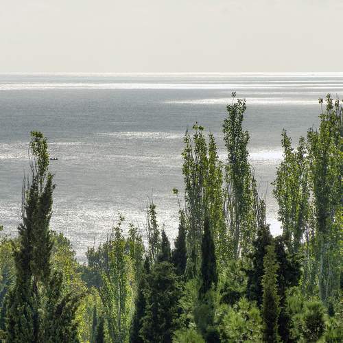 Photo #6894546