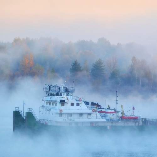 Photo #6894575
