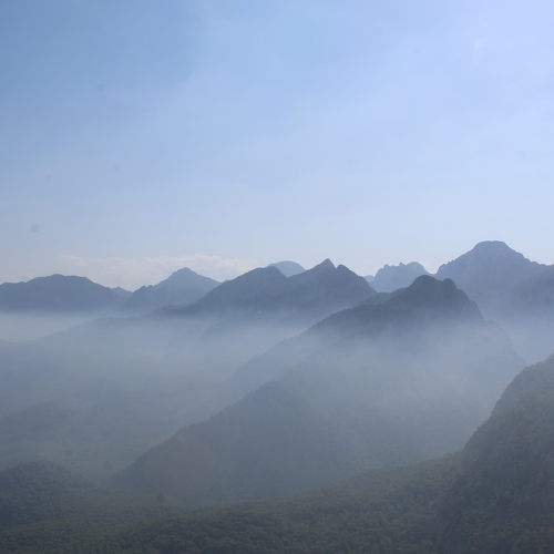Photo #6894669
