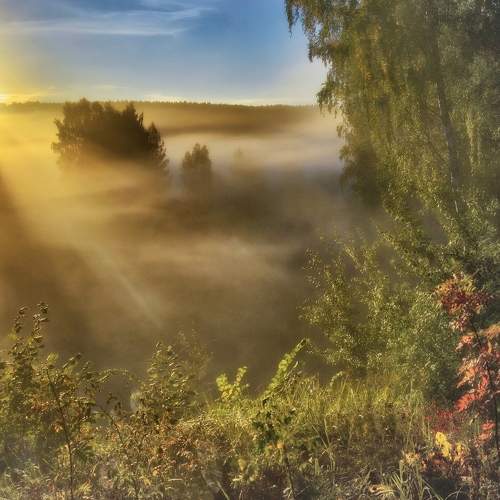 Photo #6894671