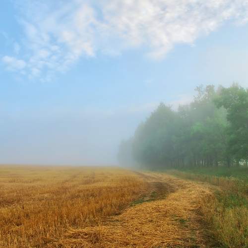 Photo #6894673