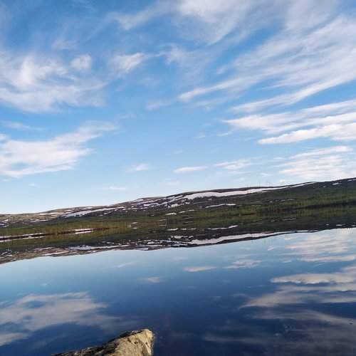 Photo #6895763