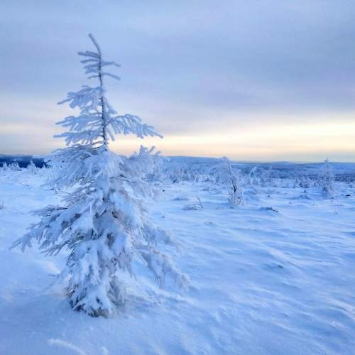 Photo #6896066