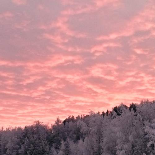 Photo #6896076