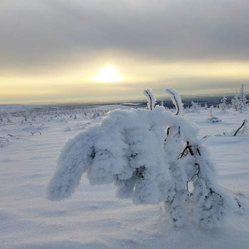 Photo #6896078