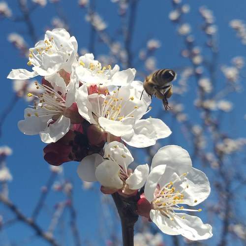 Photo #6896334