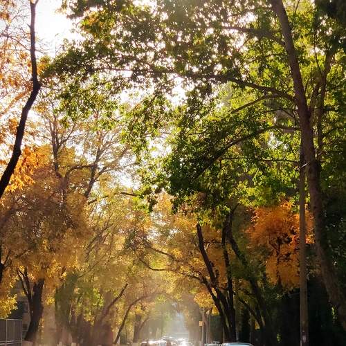 Photo #6896605