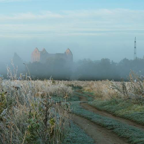 Photo #6896793