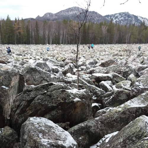 Photo #6896966