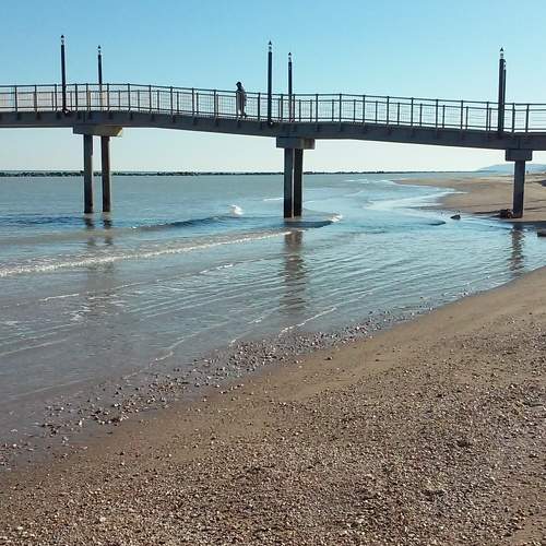 Photo #6897040