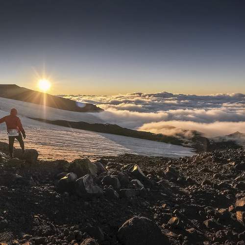 Photo #6897218