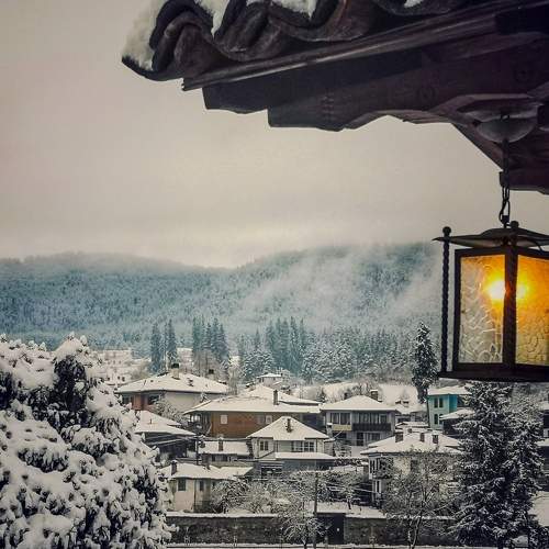 Photo #6897331