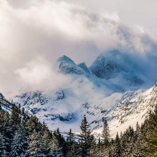 Photo #6897337