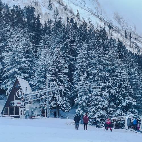Photo #6897342