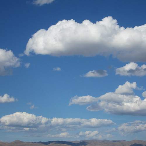Photo #6897372