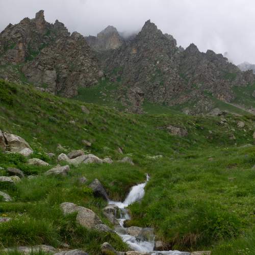 Photo #6897411