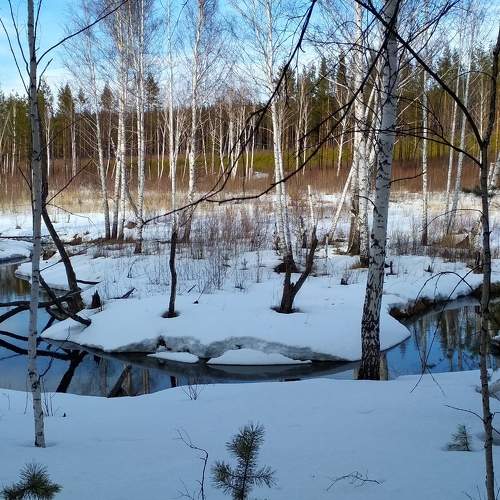 Photo #6897453