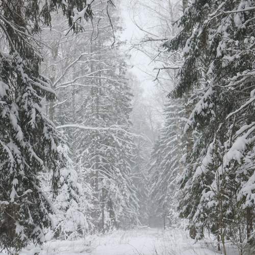 Photo #6897710