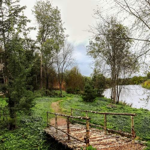 Photo #6897832