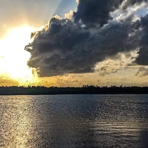 Photo #6898314