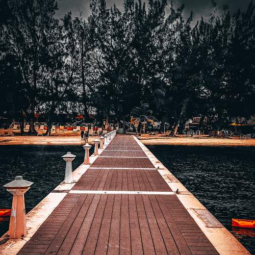 Photo #6898326