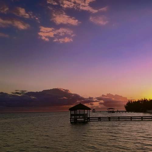 Photo #6898327