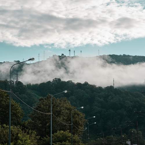 Photo #6898569