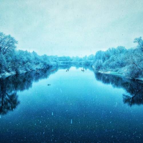 Photo #6898579